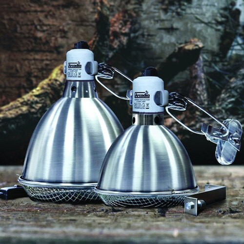 Clamp Lamp with Holder Range